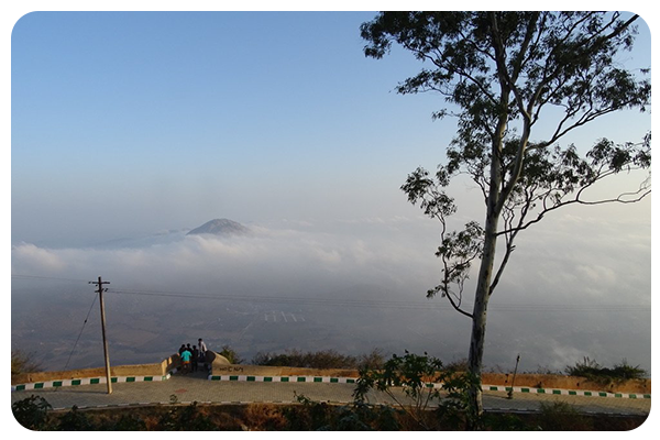 KSTDC Hotel Mayura Pine Top Nandi Hills